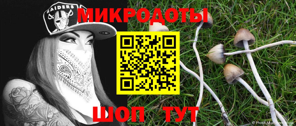 Псилоцибиновые грибы GOLDEN TEACHER  Псилоцибиновые грибы мицелий  сколько стоит  Сухой Лог  Вход с VPN 
