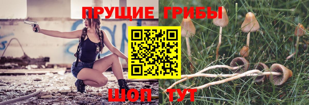 Псилоцибиновые грибы GOLDEN TEACHER Сухой Лог